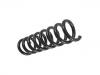 Ressort hélicoidal Coil Spring:210 321 29 04