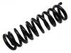 Coil spring:202 324 20 04