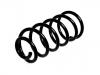 圈状弹簧 Coil spring:202 324 08 04