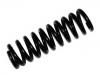 Coil spring:202 321 00 04