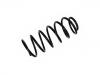 Fahrwerksfeder Coil spring:191 411 105 A