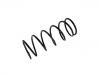 Coil spring:171 411 105 G