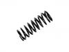 Fahrwerksfeder Coil Spring:116 324 09 04