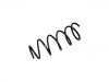 Muelle de chasis Coil Spring:1J0 411 105 R