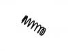 Coil Spring:251 411 105 B