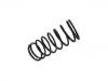 Coil Spring:6U0 411 105 D