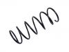 Coil Spring:60545978