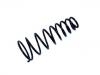 венцивидная пружина Coil Spring:54010-50J64