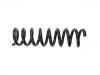 Fahrwerksfeder Coil Spring:202 324 21 04