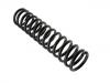 Fahrwerksfeder Coil Spring:123 321 2704