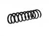 венцивидная пружина Coil Spring:8D5 511 115 G