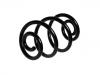 Fahrwerksfeder Coil Spring:33 53 9 059 276