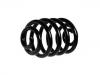 Fahrwerksfeder Coil Spring:33 53 9 065 357