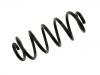 Coil Spring:8D0 411 105 BM