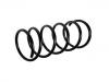 Coil Spring:5002.N2