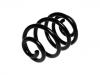 Coil Spring:7M0511115K