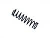 венцивидная пружина Coil Spring:6 194 715