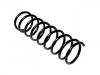 Muelle de chasis Coil Spring:1 105 118