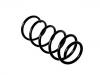 Muelle de chasis Coil Spring:6N0 411 105 T