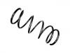 Coil Spring:1 069 014