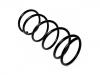 Ressort hélicoidal Coil Spring:1 069 013