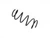 Muelle de chasis Coil Spring:6 787 101