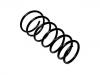 Muelle de chasis Coil Spring:6 834 071