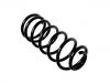Muelle de chasis Coil Spring:46456790