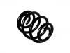 Coil Spring:4227542