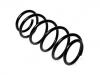 Muelle de chasis Coil Spring:312 833