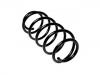 Muelle de chasis Coil Spring:312 810