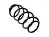 Muelle de chasis Coil Spring:312 102