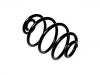 Ressort hélicoidal Coil Spring:424057