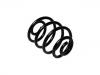 Muelle de chasis Coil Spring:424293