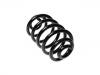 Fahrwerksfeder Coil Spring:424 329