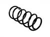 Muelle de chasis Coil Spring:312 764
