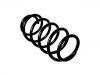 Muelle de chasis Coil Spring:90512021