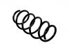 Muelle de chasis Coil Spring:312171