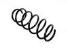 венцивидная пружина Coil Spring:6Q0 411 105 AK