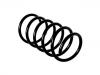 Coil Spring:8470616