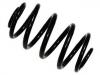 Fahrwerksfeder Coil Spring:8455287