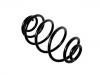Muelle de chasis Coil Spring:9118380