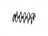 Fahrwerksfeder Coil Spring:51401-S10-A31