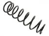 Muelle de chasis Coil Spring:48131-6A470