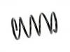 Coil Spring:MN101531