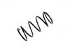 венцивидная пружина Coil Spring:MR103517