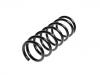 Fahrwerksfeder Coil Spring:55019-43U22