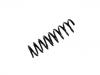 Muelle de chasis Coil Spring:202 321 19 04