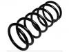 венцивидная пружина Coil Spring:5002.J5