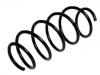 Coil Spring:1 215 300